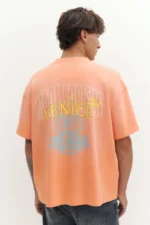 Camiseta grafico Venice 3.webp