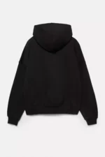 Sudadera capucha STWD Division 6.webp