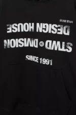 Sudadera capucha STWD Division 7.webp